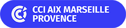 logo cciamp
