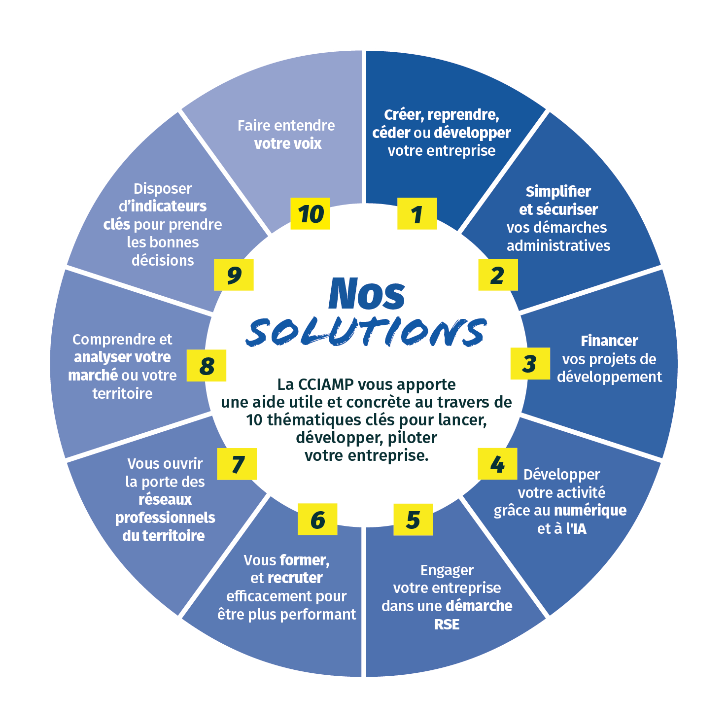 visuel solutions cciamp